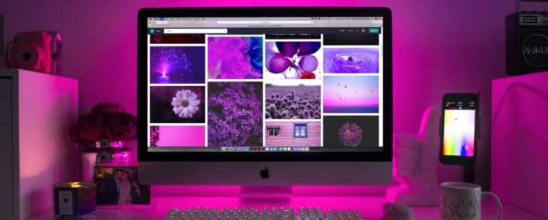 Web designing and development services
